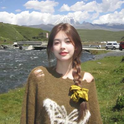 沃尔多·沙特:编剧之旅封面